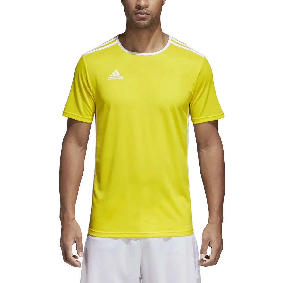 adidas Men's Entrada 18 Jersey | CD8390