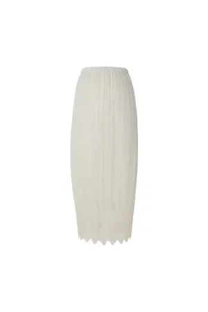 Pleated Skirt