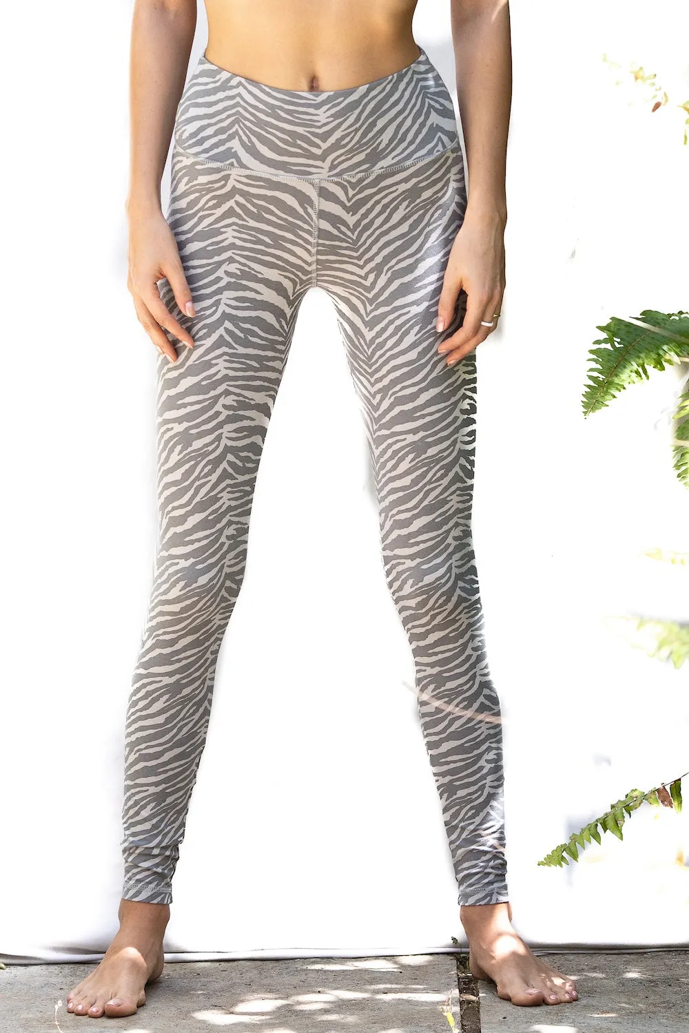 Zebra Leggings - Grey